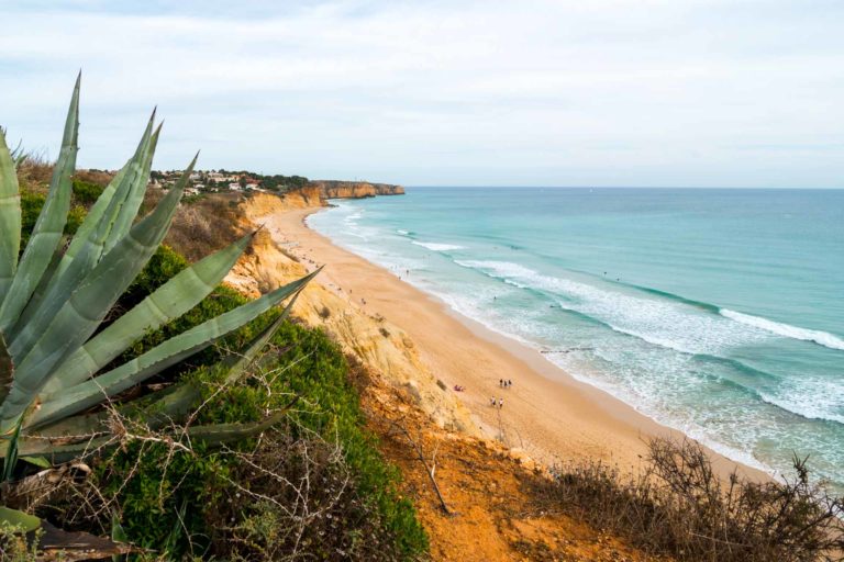 surfvakantie surfana